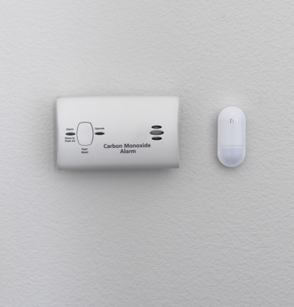 arlo carbon monoxide detector